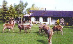 Country accommodation at its best