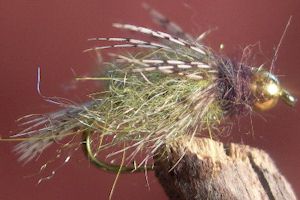 Flash Back Caddis