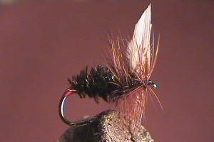 Red Tipped Governor