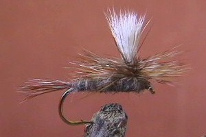 Adams Parachute Dry Fly