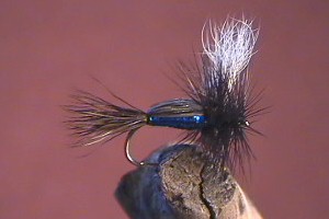 NZ Black Gnat
