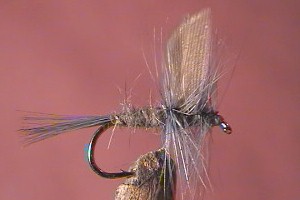 Blue Dunn