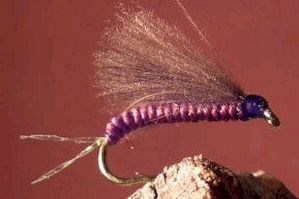 CDC Emerger