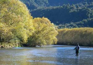 Autumn on the Mataura means mayfly hatches!