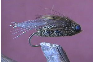 Cicada Dry Fly