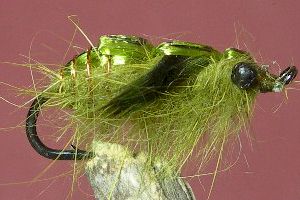 Doll Fly (Lumo)