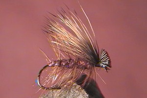 Elk Hair Caddis