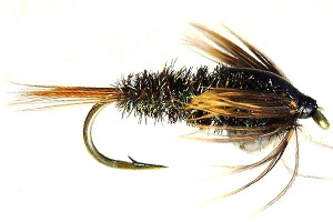 Half Back Nymph