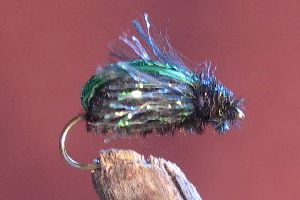 Green Beetle 