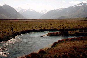Looking towards the Southern Alps