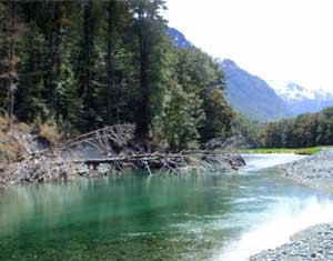 Rivers in the Wanaka fly fishing area