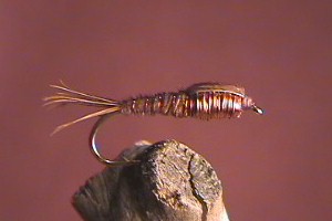 Pheasant Tail